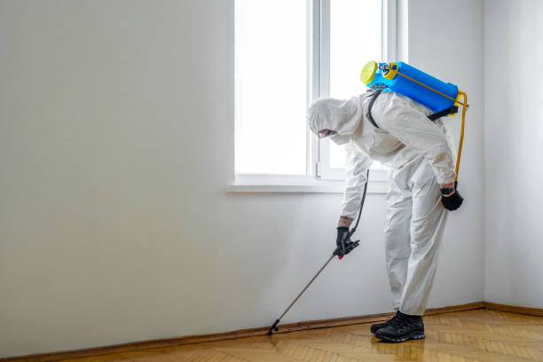 Best Best Pest Control Companies  in Garden City, ID