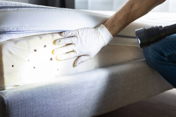 Best Exterminator Services  in Garden City, ID