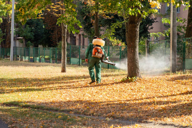 Best Emergency Pest Control  in Garden City, ID