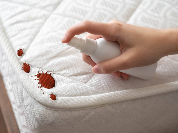 Best Pest Control Cost  in Garden City, ID