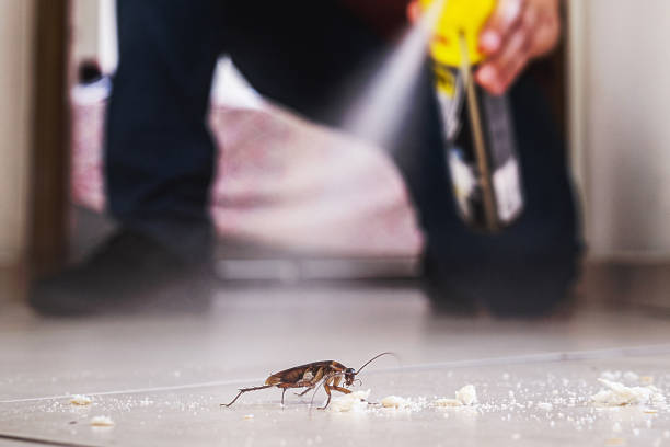 Garden City, ID Pest Control Company