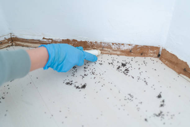 Best Wildlife Control Services  in Garden City, ID