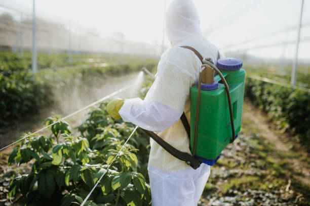 Best Pest Control Near Me  in Garden City, ID